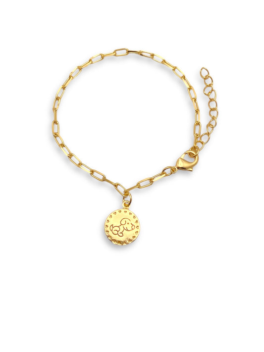 PULSEITRA MEDALHA PET DOG